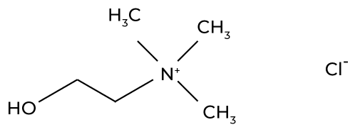 Choline